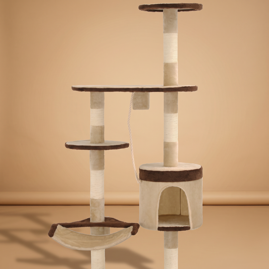 Arbre à chat mural 194 cm, poteaux en sisal